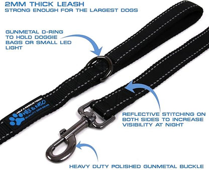 Max and Neo Reflective Nylon Dog Leash - We Donate a Leash to a Dog Rescue for Every Leash Sold (Purple, 6x1)