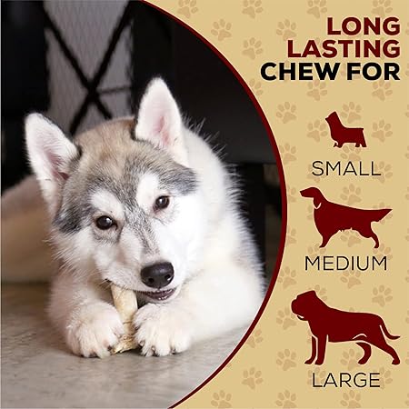 All Natural Dog Chew Treats - Premium Rawhide Rolls, 5-6 Inch - Long Lasting Grass Fed Free Range Beef Hide - Small/Medium Dogs 25 Count