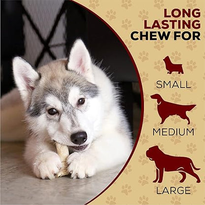 All Natural Dog Chew Treats - Premium Rawhide Rolls, 5-6 Inch - Long Lasting Grass Fed Free Range Beef Hide - Small/Medium Dogs 25 Count