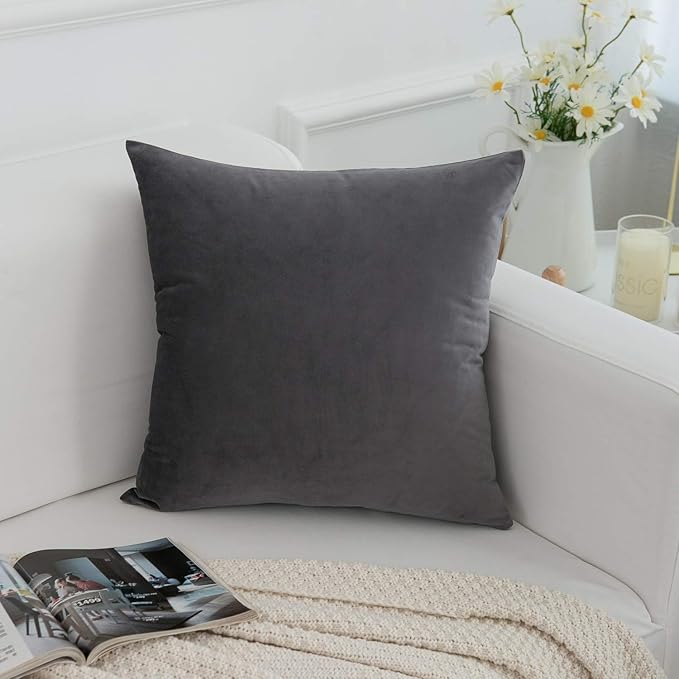 RainRoad Velvet Decorative Throw Pillow Covers Cushion Cover Pillow Case for Sofa Couch Bed Chair,Soft Square Gray Throw Pillows 18x18 Inch,Set of 2