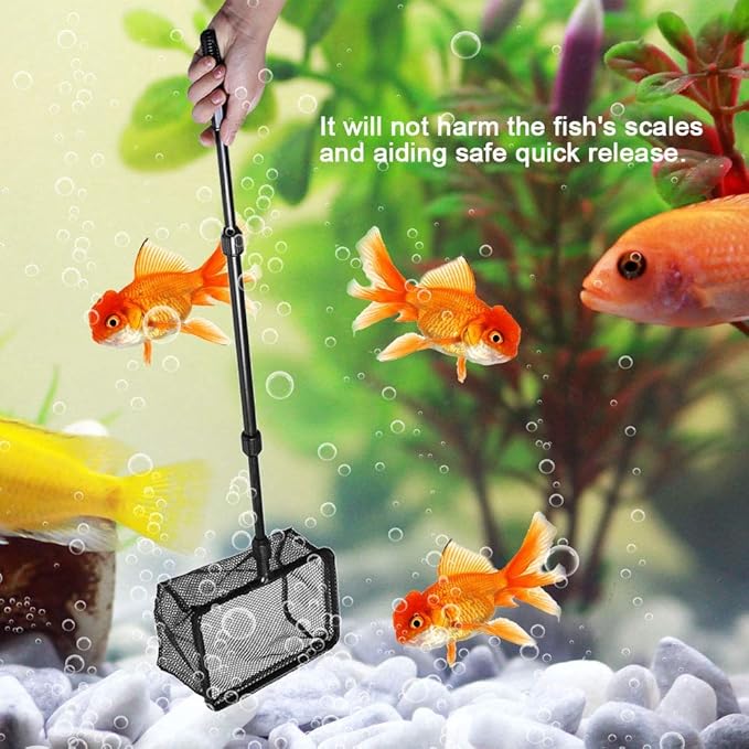 Pssopp Aquarium Fishing Landing Net, Retractable Fish Fishing Net Fish Shrimp Net Floating Objects Clean Tools for Fishes Catch and Release (M)