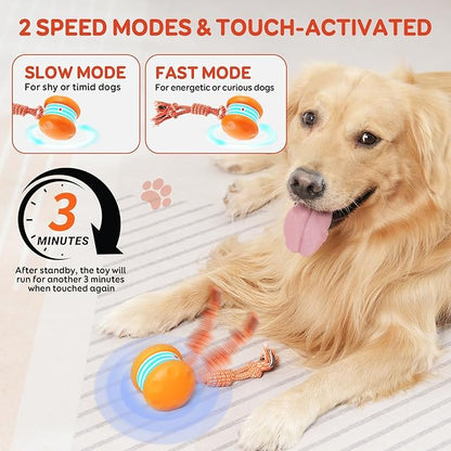 Interactive Dog Ball, Random Path Electric Automatic Moving and Rolling Dogs Toy with Rope for Small Medium Large Dogs, Motion-Activated Dog Stimulation Toy for Boredom Relief (Orange)