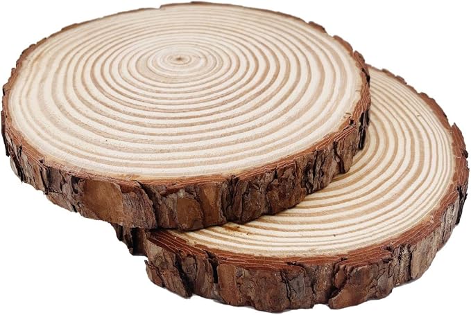 Natural Round Discs Rustic Wood Slices 4 PCS 4-5 inch Unfinished Wood kit Circles Crafts Tree Slices with Bark Log Discs for DIY Arts and Wedding Party Potluck Banquet Ornaments Decorations