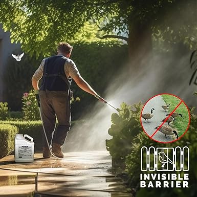 Bird-X Bird Stop Liquid, Invisible and Effective Bird Removal Liquid, Keep Birds Away, Contains Methyl Anthranilate, Easy to Apply, BS-GAL, 1-Gallon