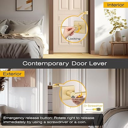 EHOMEWARE 1 Pack Gold Door Handles, Heavy Duty Door Knobs Interior for Bedroom Bathroom, Zinc Alloy Privacy Door Levers Door Handle with Lock, Satin Brass Modern Door Hardware  Locks