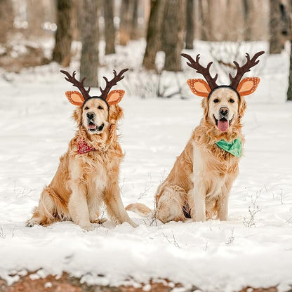BWOGUE Dog Elk Reindeer Antlers Headband, Pet Christmas Costume Headwear Dog Antlers Costume, Dog Christmas Headband, Large Brown, Fits 13.4-21.3in Head Circumference, Wire-Supported Antlers