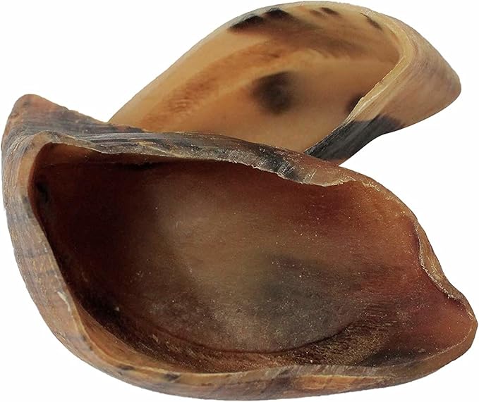 Downtown Pet Supply Dog Bones - Cow Hooves for Dogs Made in USA - Dog Dental Treats  Rawhide Free Dog Chews - Bully Sticks Alternative - Dog Chew Bones - Grass-Fed Beef Hooves - Plain - 10 Pack