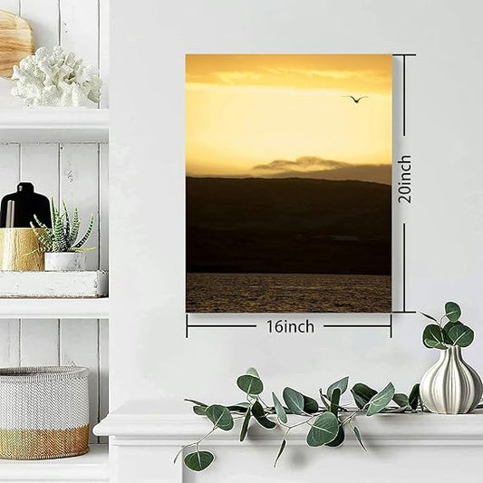 Bathroom Wall Art Decor Bathroom Pictures for Wall Artwork Bird the sky Framed Canvas Wall Art for Bedroom Dining Room Farmhouse 16"x20"