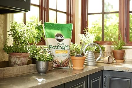 Miracle-Gro Indoor Potting Mix, Blended for a Variety of Houseplants, Feeds for up to 6 Months, 6 qt.