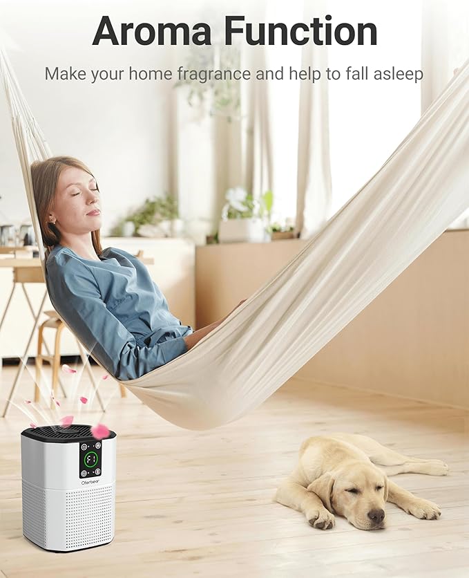 Air Purifiers for Home Bedroom Pets, Oterbear Small Air Purifier with Sleep Mode, Aroma Function, Ambient Light, H13 True HEPA Air Filter Cleaner, Remove Dander Smoke Pollen Odor, White