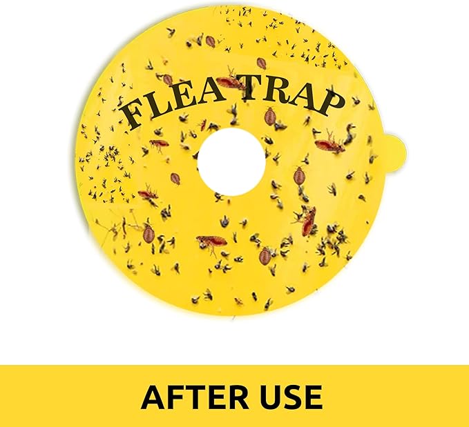 8 Pcs Flea Trap Refills Flea Sticky Pads Refills Discs for Indoor Flea Trap Catcher - 6 Inch