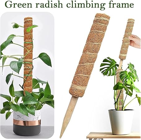 1Pcs Plant Cages Supports Reusable Plant Climbing Stand Can be Used for a Long time Flower Plants Support Holder Balcony Garden Courtyard(50cm)