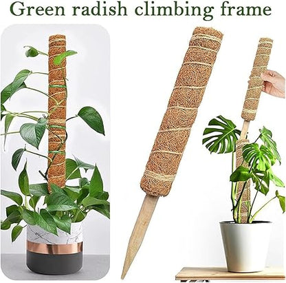 1Pcs Plant Cages Supports Reusable Plant Climbing Stand Can be Used for a Long time Flower Plants Support Holder Balcony Garden Courtyard(50cm)