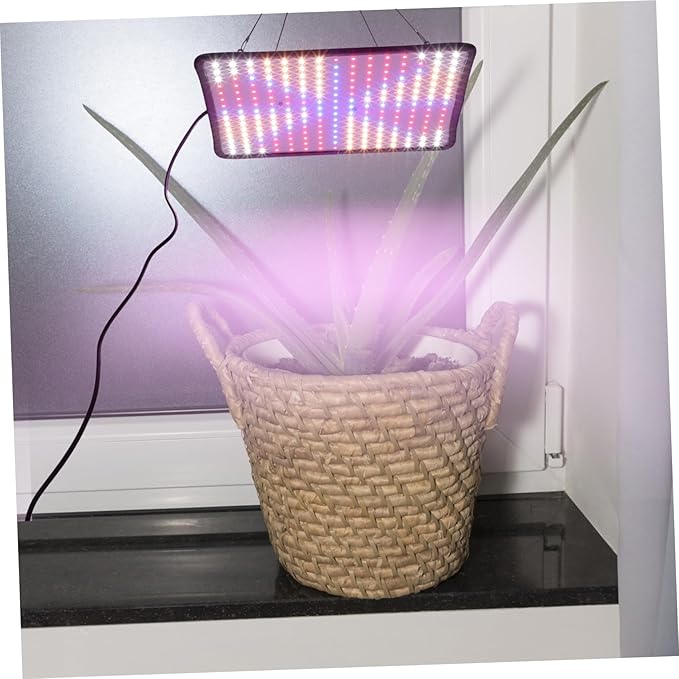 BESPORTBLE Greenery 1 Set Plant Fill Light Indoor Grow Light Dimmable Light Bulbs Plant Growing Bulb Green Light Bulb Full Spectrum Grow Lights House Plants Skin Household Flashlight White