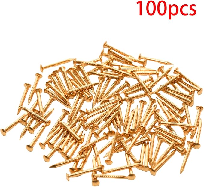 100 Pcs Tiny Brass Nails, Decorative Wooden Nails for DIY Craft Projects(1.2x12mm)