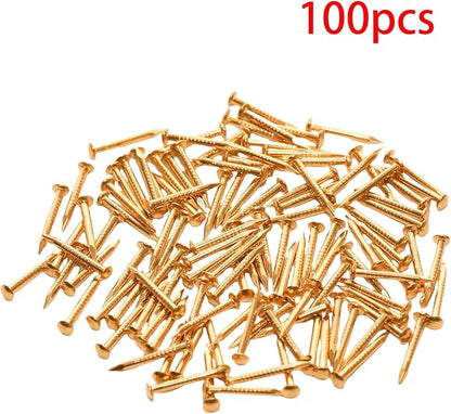 100 Pcs Tiny Brass Nails, Decorative Wooden Nails for DIY Craft Projects(1.2x12mm)