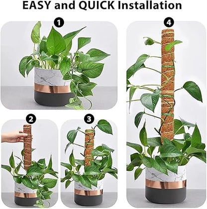 1Pcs Plant Cages Supports Reusable Plant Climbing Stand Can be Used for a Long time Flower Plants Support Holder Balcony Garden Courtyard(50cm)