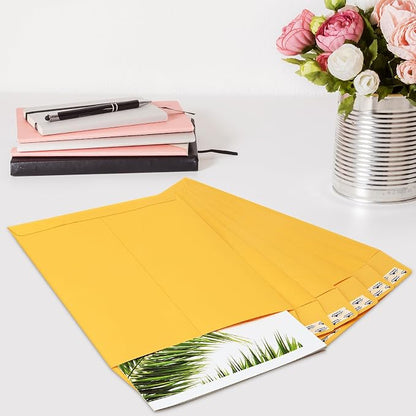 9x12 Self Seal Security Catalog Envelopes 15 Count Brown Kraft Envelopes with Peel and Seal Flap for Mailing, Organizing and Storage