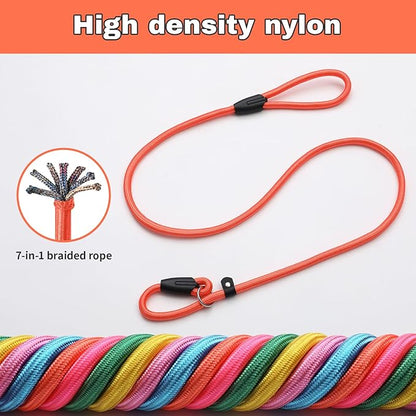 6 - Piece Set! Premium No - Pull Slip Lead Dog Leashes - 5FT Heavy - Duty Rope for Small  Medium Dogs in a Vibrant 6 - Color Collection