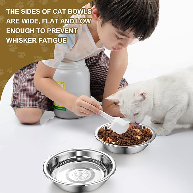 10 Pcs Shallow Cat Food Bowls 6.3 Inches Replacement Stainless Steel Cat Bowls Fatigue Relief for Elevated Stand Metal Dishes Basic for Dishwasher Safe