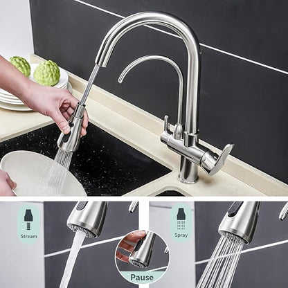 Kitchen Sink Faucet with Pull Down Sprayer 2 Handle 3 in 1 Water Filter Purifier Faucets Brushed Nickel 0195SN