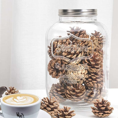 CATPOWER 1 Gallon Large Glass Jar With Mouth Canning Jar Kitchen Storage Jar Cookie Candy Penny Jar with Stainless Steel Screw Lid