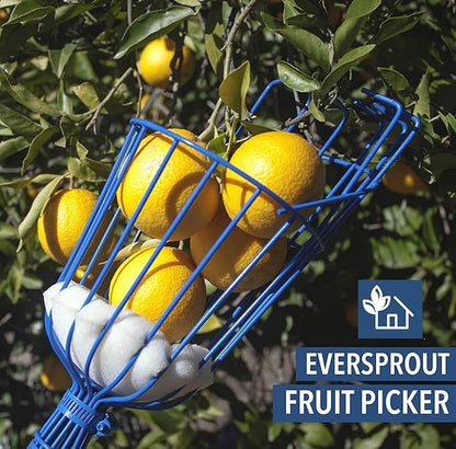EVERSPROUT Twist-On Fruit Picker Basket, Twists onto Standard US Threaded Pole (34-inch ACME), Fruit Picker Head Basket, Fruit Harvesting Tool, Apple, Mango Picker etc. (Head Only, Pole Not Included)