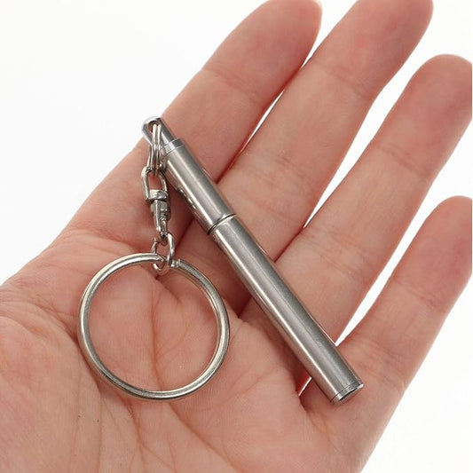 NUOBESTY Stainless Steel Retractable Ballpoint Pen Keychain, Mini Pen, Silver