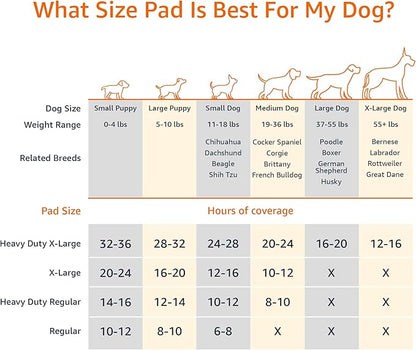 Basics Dog and Puppy Pee Pads with 5-Layer Leak-Proof Design and Super Absorbent Surface for Potty Training, Odor-Control Carbon, XL Size, 28 x 34 Inch - Pack of 50, Gray