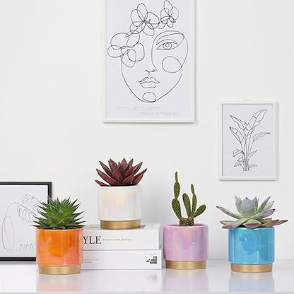 Gepege Succulent Pots for Plants, Succulent Planter with Drainage Holes, Ceramic Pot for Indoor Plant, Set of 4