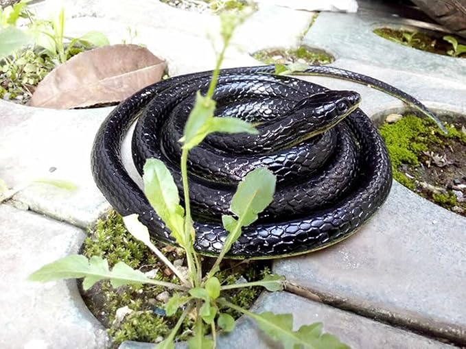 Brandon-super Realistic Rubber Black Snake 52 Inch Long Scare Toy