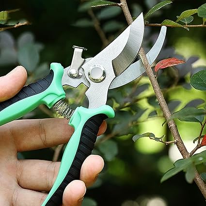 Gardening Scissor Curved Sharp Stainless Steel Blade Garden Cutter Shears Cutting Flowers Trimming Plants Yard Florist Flower Rose Herb Hedge Bonsai Fruits Picking
