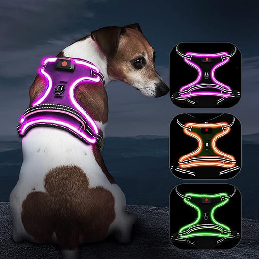 Light Up Dog Harness, No Pull LED Dog Harness with Handle, Rechargeable Lighted Safety Vest for Small Medium Large Dogs, Adjustable Soft Dog Lights for Night Walking