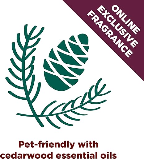 Arm  Hammer Forever Fresh Clumping Cat Litter Cedarwood, MultiCat 18lb, Pet Friendly with Essential Oils, (Pack of 1)