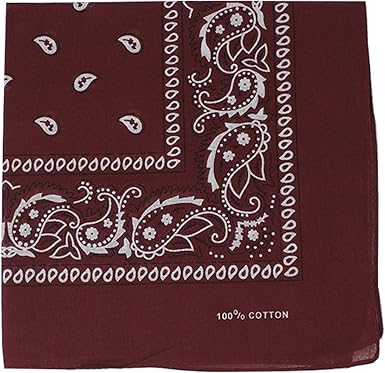 Large 100 Cotton Square Burst Paisley Bandanas (22 inch x 22 inch) - Use For Handkerchief, Headband, Wristband, Head Scarf