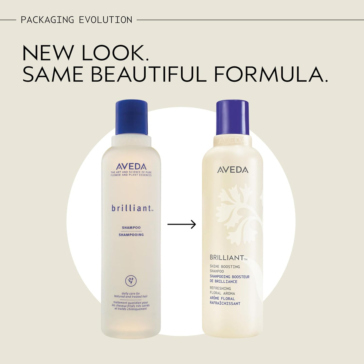 Aveda Brilliant Shine Boosting Shampoo | Adds Shine | Clarifying Shampoo Removes Product Build-Up | All Hair Types | Jasmine, Rose, Clove Aroma | 8.5 Fl Oz