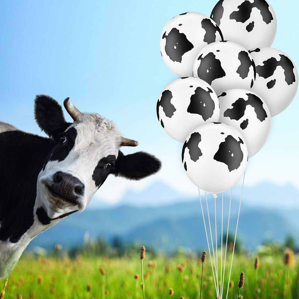 Gejoy 24 Cow Balloons Latex Funny Cowprint Balloons for Cow Black and White Birthday Party Supplies Decorations