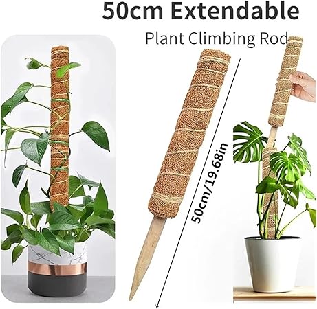 1Pcs Plant Cages Supports Reusable Plant Climbing Stand Can be Used for a Long time Flower Plants Support Holder Balcony Garden Courtyard(50cm)