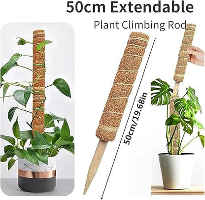 1Pcs Plant Cages Supports Reusable Plant Climbing Stand Can be Used for a Long time Flower Plants Support Holder Balcony Garden Courtyard(50cm)