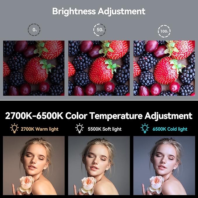 SmallRig P96  P108 Video Light