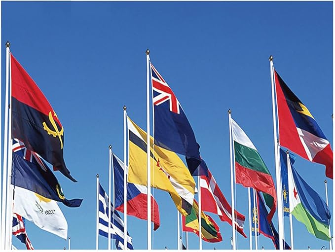 State of Florida Flag Polyester Fiber 3x5 Feet Flag, Bright Colors And Anti-ultraviolet Fade Flag Indoor Outdoor Banner