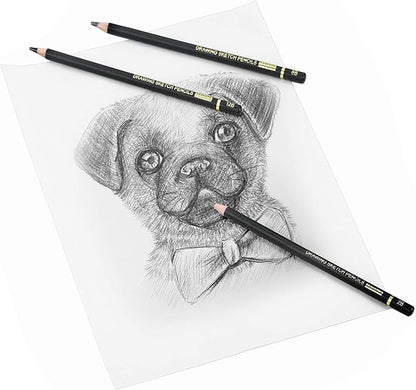RVOGJP TAMATA Professional Drawing Sketching Pencil Set - 12 Pieces Art Graphite Pencils(12B - 4H), Ideal for Drawing Art, Sketching, Shading, for Beginners & Pro Artists