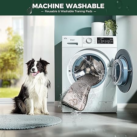 FXW Washable Pee Pads for Dogs, Puppy Pads with Super Absorbent, Specifically Designed for Potty Training, Square, 39" x 39", 1 Pack
