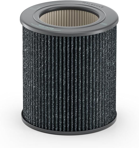 Molekule PECO-HEPA Tri-Power Filter Air Mini and Air Mini  Air Purifier Replacement Filters for Allergens, Smoke, Mold, Bacteria, Viruses  Other Pollutants for Clean Air - Gray