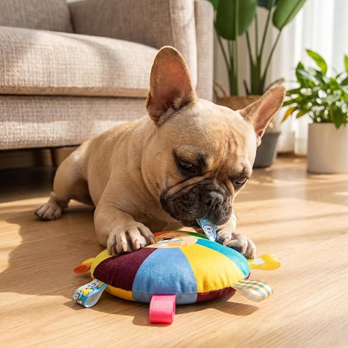 Sturdy Interactive Canine Plaything - Vibrant Squeaky Toy Featuring a Cartoon Bear, Gentle Material for Training and Fun, Appropriate for Every Breed.