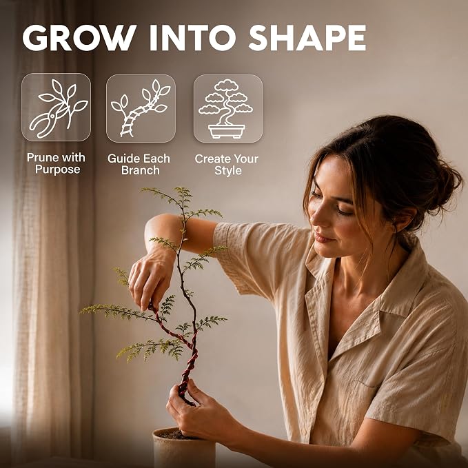 Bonsai Tree Kit Classic - 5X Unique Japanese Bonzai Trees | Complete Indoor Bonsai Starter Kits for Growing Trees – DIY Gardening Gifts for Mother, Women & Men