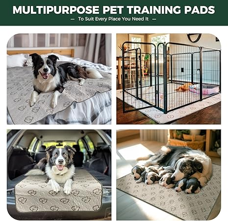 FXW Washable Pee Pads for Dogs, Puppy Pads with Super Absorbent, Specifically Designed for Potty Training, Square, 39" x 39", 1 Pack