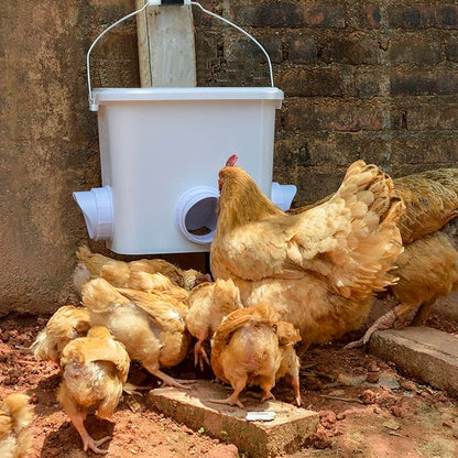 Automatic Chicken Feeder Set Hanging Chicken Feeder No Waste Poultry Feeder Kit 20lb Chicken Feed Container
