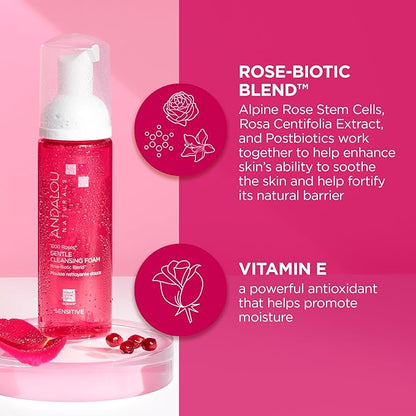 Andalou Naturals 1000 ROSES Gentle Cleansing Foam Face Wash, Hydrating Foaming Facial Cleanser with Rosewater  Aloe for Women  Men, Non Toxic, Vegan