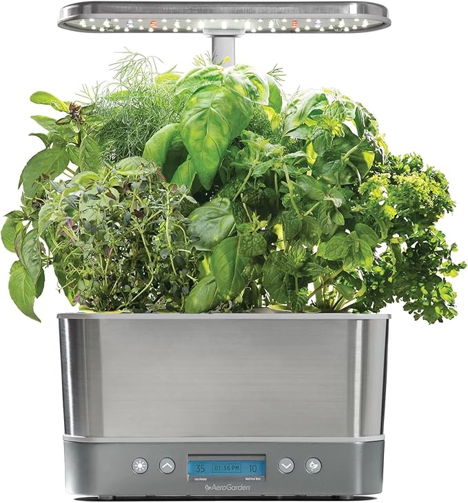 AeroGarden Gourmet Herb Seed Pod Kit - Herb Seeds for AeroGarden Indoor Garden
